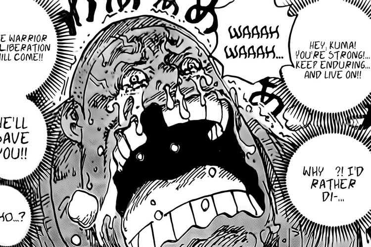 Baca Manga One Piece Chapter Sub Indo Gratis Di Mangaplus Masa