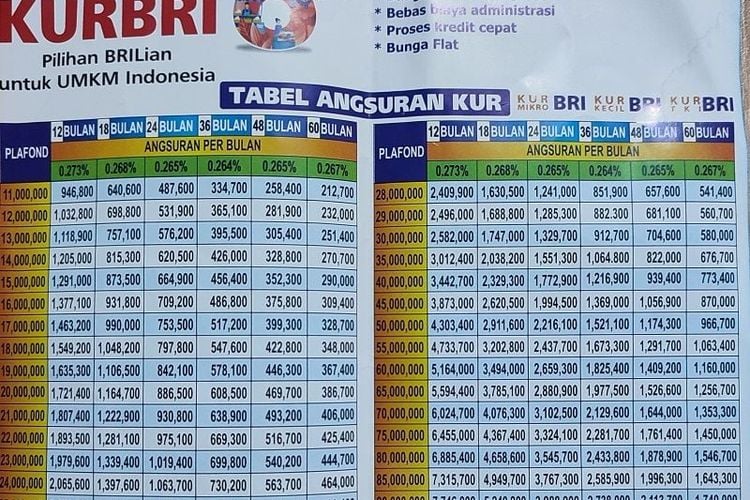 Pinjam Dana Ratusan Juta Tanpa Jaminan Begini Caranya Daftar Kur Bri