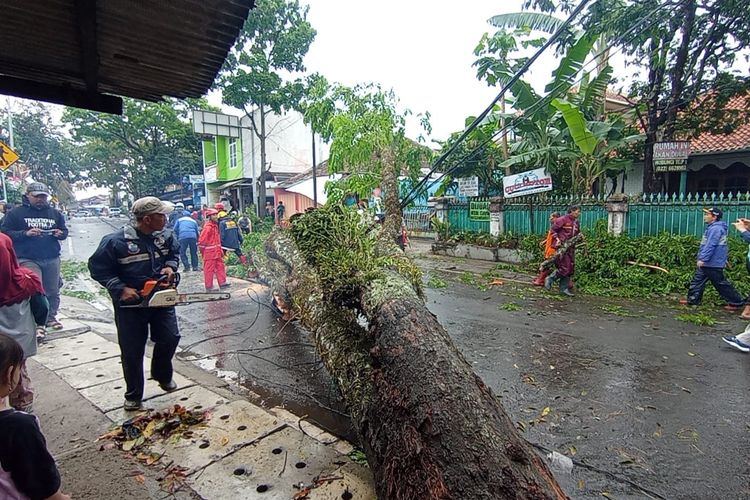 Pohon Tumbang Tutup Jalan Encep Kartawiria Cimahi Arus Lalu Lintas