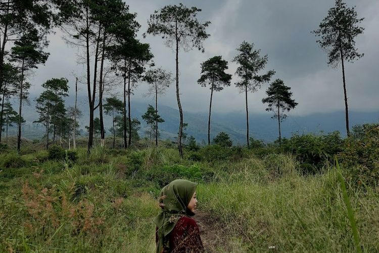 Wisata Estetik Bukit Tegal Malaka Garut Rekomendasi Tempat Camping Di