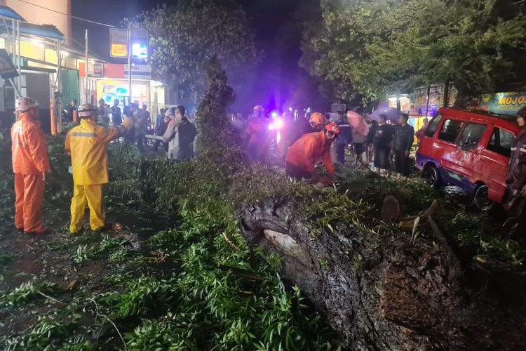 Pohon Tumbang Di Cianjur Akibatnya Arus Lalin Ke Dari Sukabumi Macet