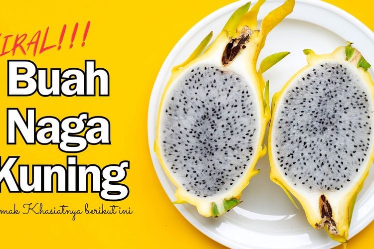 Sedang Viral Simak Khasiat Dari Buah Naga Kuning Berikut Ini Portal