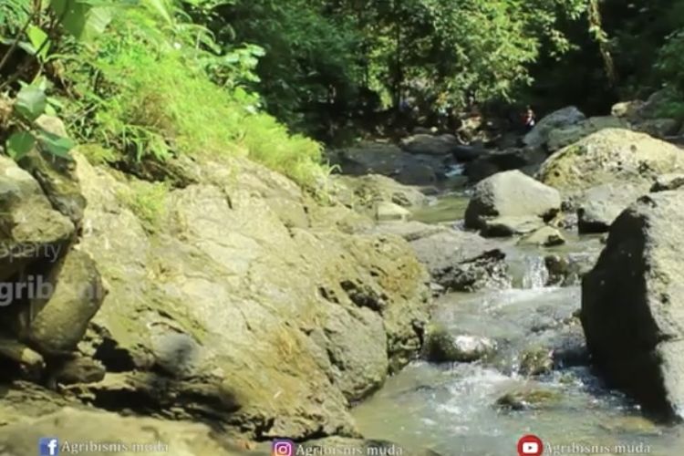 Healing Dulu Yuk Rekomendasi Kolam Air Panas Di Ciamis Pemandangan