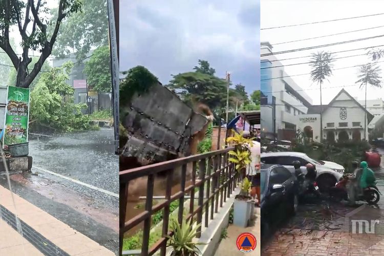 Hujan Deras Di Malang Picu Longsor Dan Pohon Tumbang Waspada Saat