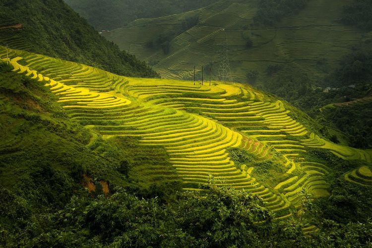 Serunya Desa Wisata Bantaragung Majalengka Eksplore Aktivitas