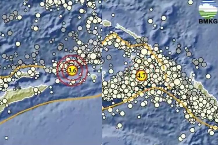 Siang Ini Papua Dan Wilayah Timur Laut Maluku Diguncang Gempa Bumi