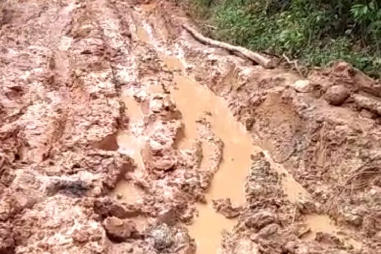 Pernah Viral Di Sejumlah Media Sosial Ruas Jalan Di Kabupaten Rembang