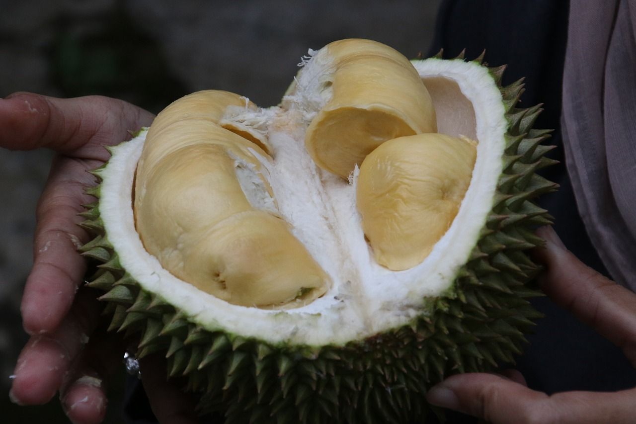 Manfaat Durian Untuk Kesehatan Dapat Redakan Anemia Hingga Lawan