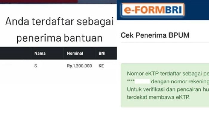 Siapkan Nomer NIK Kalian Untuk Mengecek BPUM UMKM Di Eform Bri Co Id