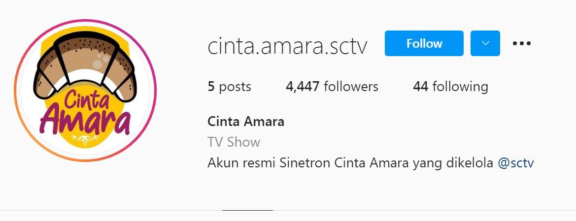 Sinopsis Dan Daftar Pemain Sinetron Baru Sctv Cinta Amara Tayang