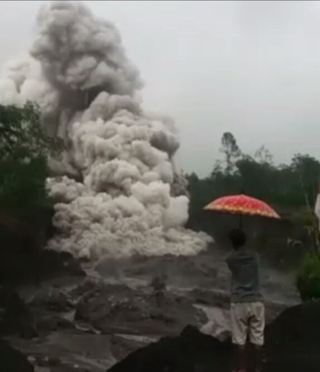 Gunung Semeru Erupsi Bupati Sebut Jembatan Penghubung Lumajang Dan