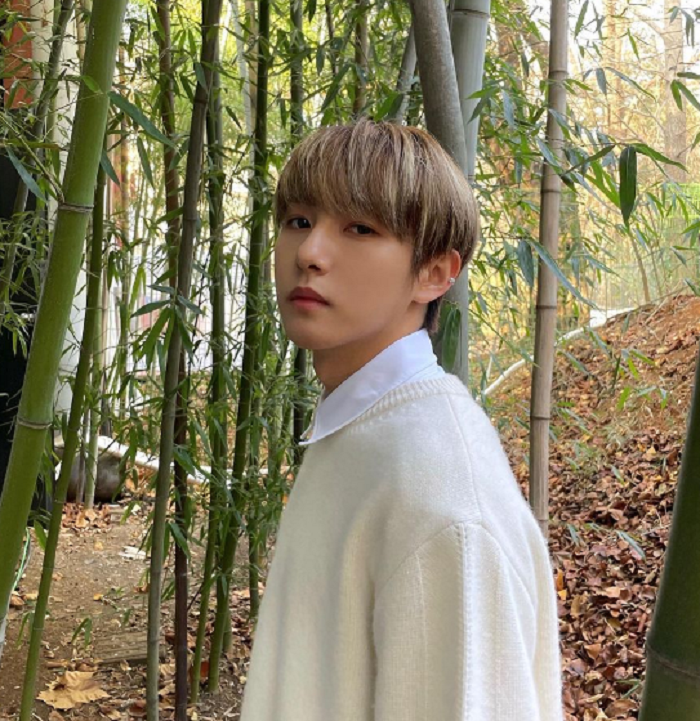 Profil Biodata Renjun Nct Lengkap Member Nct Dream Lengkap Agama Ig