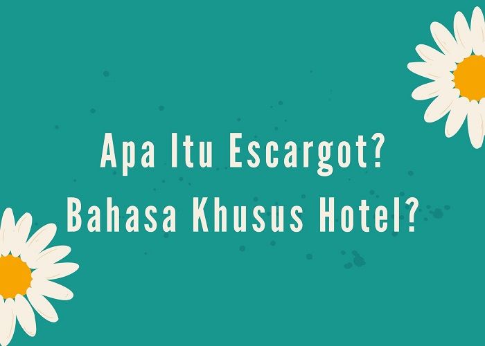 Escargot Hotel Adalah Ini Arti Escargot Hotel Yang Berkonotasi Negatif Begini Penjelasannya