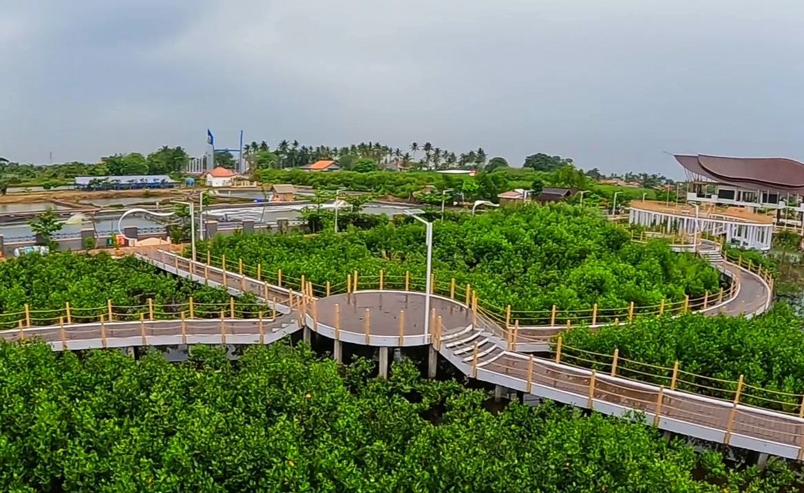 Tempat Wisata Taman Mangrove Ketapang Lagi Hits Di Kabupaten Tangerang