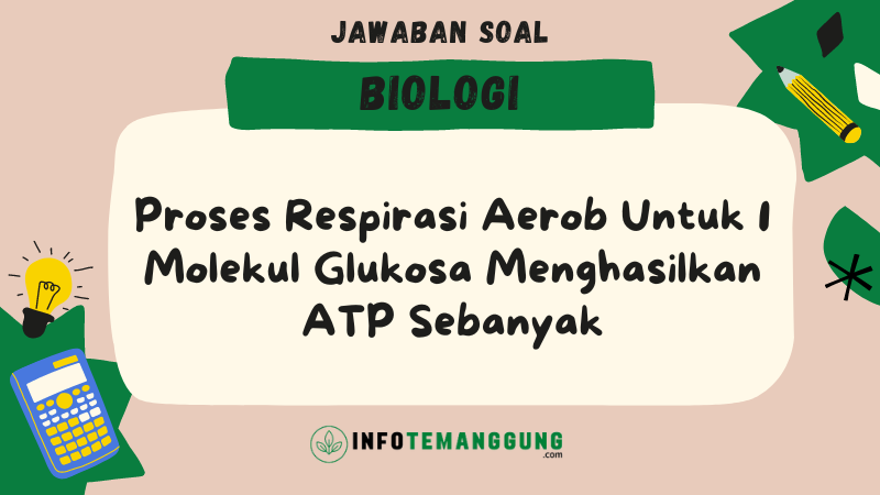 Respirasi Aerob Biologi Kelas Quipper Blog Free Hot N Vrogue Co