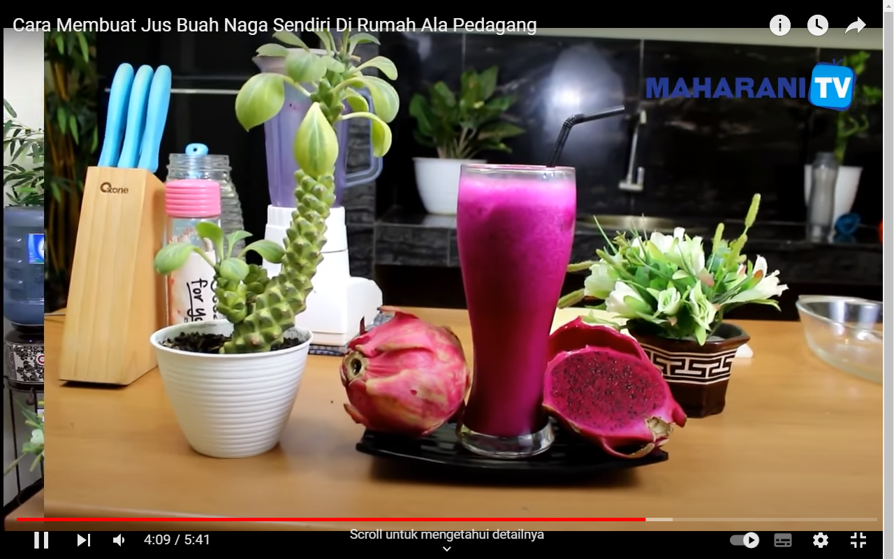 Cara Membuat Jus Buah Naga Enak Dan Menyegarkan Rasakan Manfaatnya