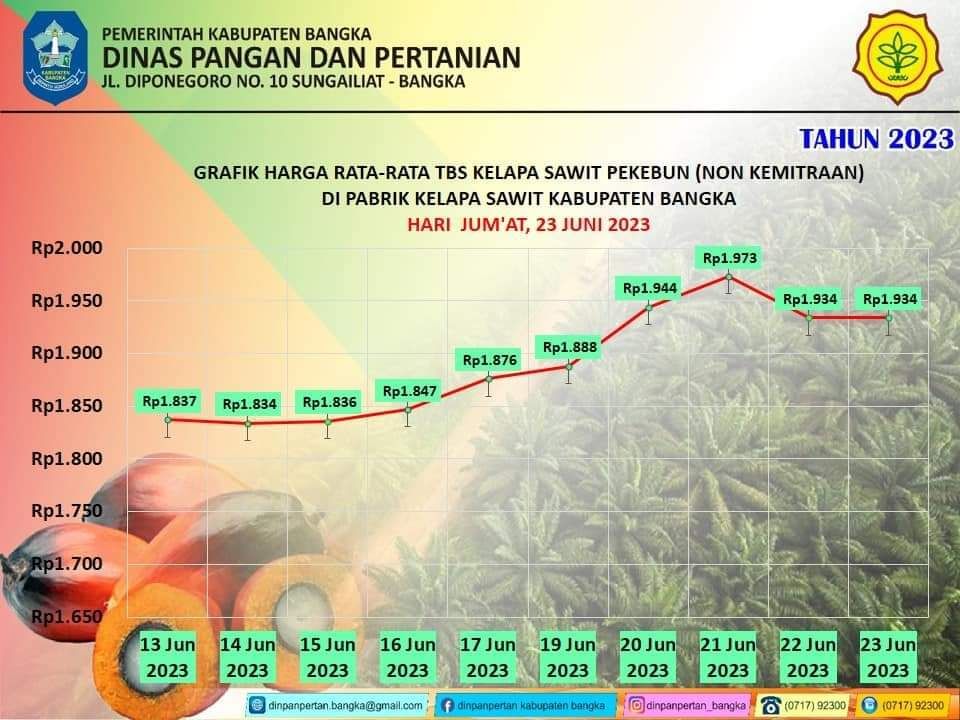 Harga Rata Rata TBS Sawit Bangka Belitung 13 24 Juni 2023 Cek Grafik