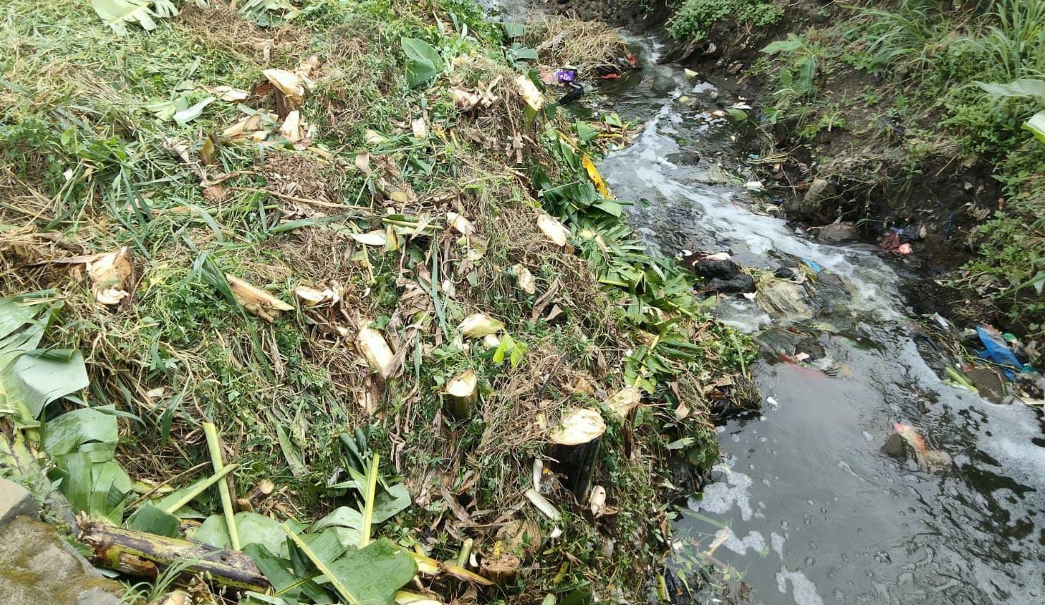 Angkat Sampah Sektor 7 Citarum Harun Sub 1 Aliran Sungai Makin Lancar