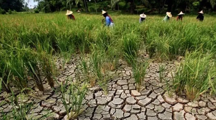 Antisipasi Kekeringan Di Jabar Pompanisasi Akan Dilakukan Lebih Optimal