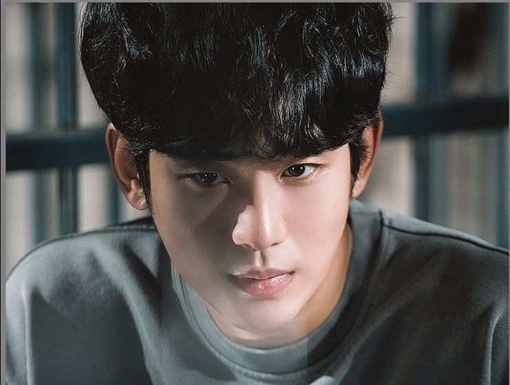 Biodata Dan Profil Kim Soo Hyun Pemeran Kim Hyun Soo Di Drama One