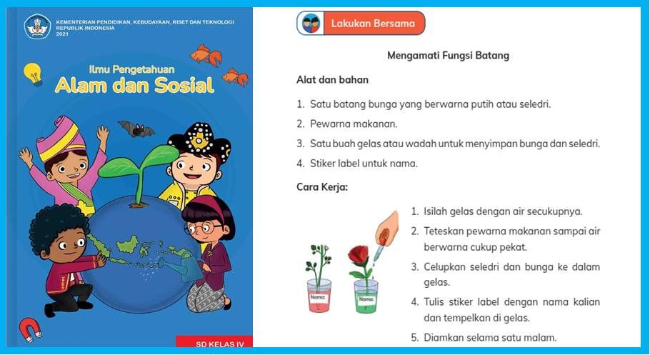 Kunci Jawaban Ipas Kelas Halaman Percobaan Mengamati Fungsi Batang