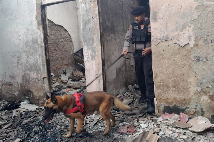 Polisi Kerahkan Lima Anjing Pelacak Guna Cari Korban Kebakaran Yang