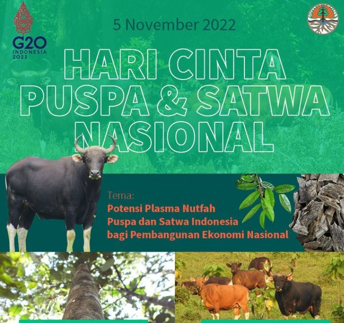 5 November Hari Apa Memperingati Hari Apa Ada Hari Cinta Puspa Dan