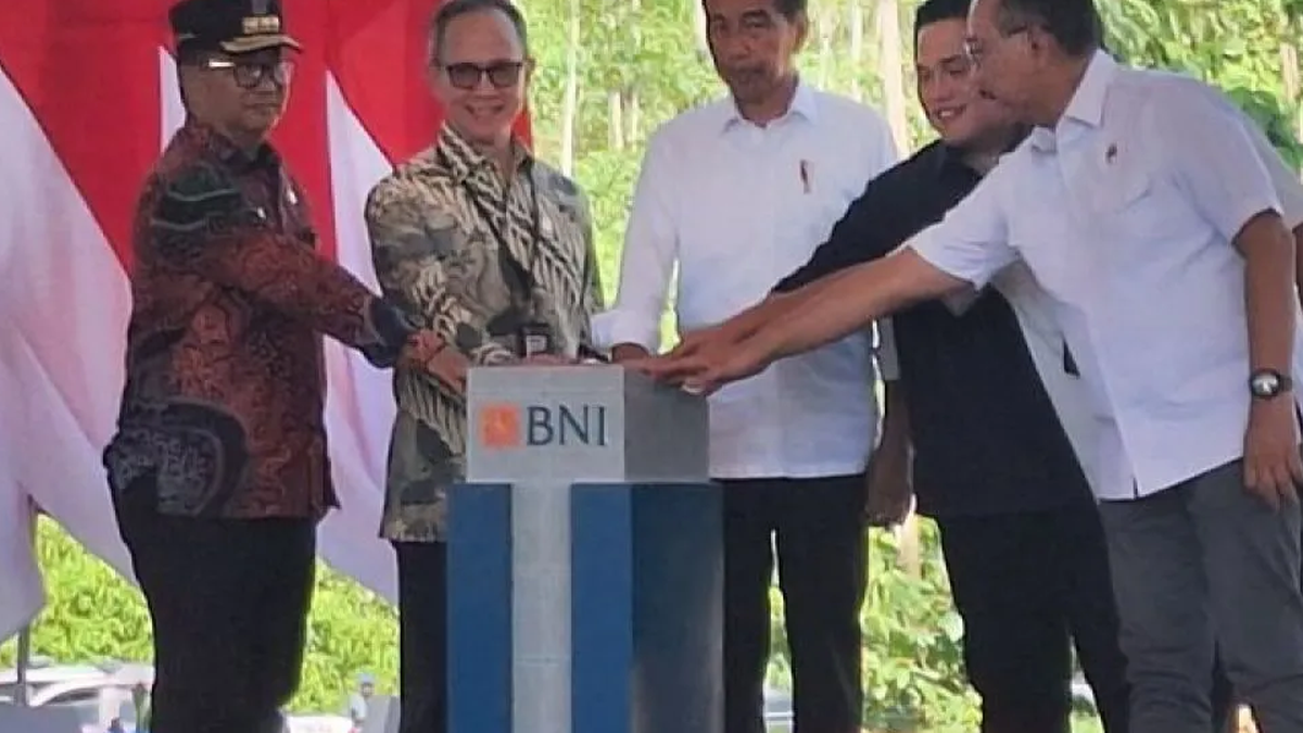 Bandara Dan Jalan Tol IKN Beroperasi Juli 2024 Presiden Jokowi Pindah