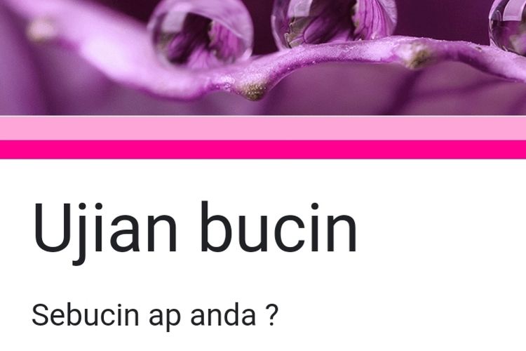 Link Ujian Bucin Pakai Google Docs Viral Tiktok Terbaru Kamu