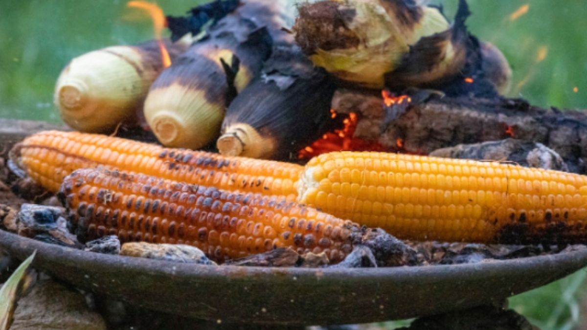 Enak Kayaknya Bakar Bakaran Jagung Di Malam Tahun Baru Sambil Pake