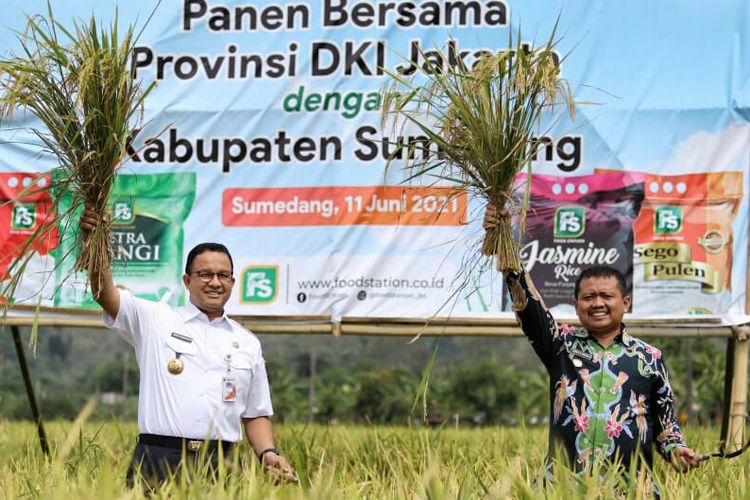 Anies Baswedan Panen Raya Di Sumedang Cara Kami Balas Budi Kepada Petani