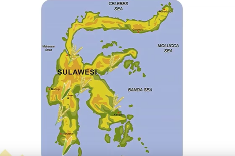 Kondisi Geografis Pulau Sulawesi Berdasarkan Peta Indonesia Kunci Jawaban Kelas SD Tema