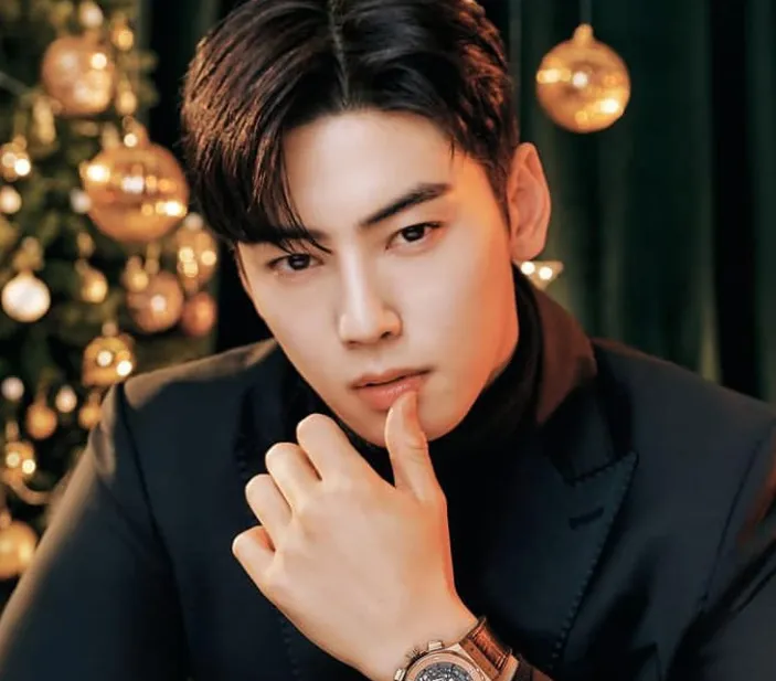 Drama Korea Yang Pernah Dibintangi Cha Eun Woo Salah Satunya Soul