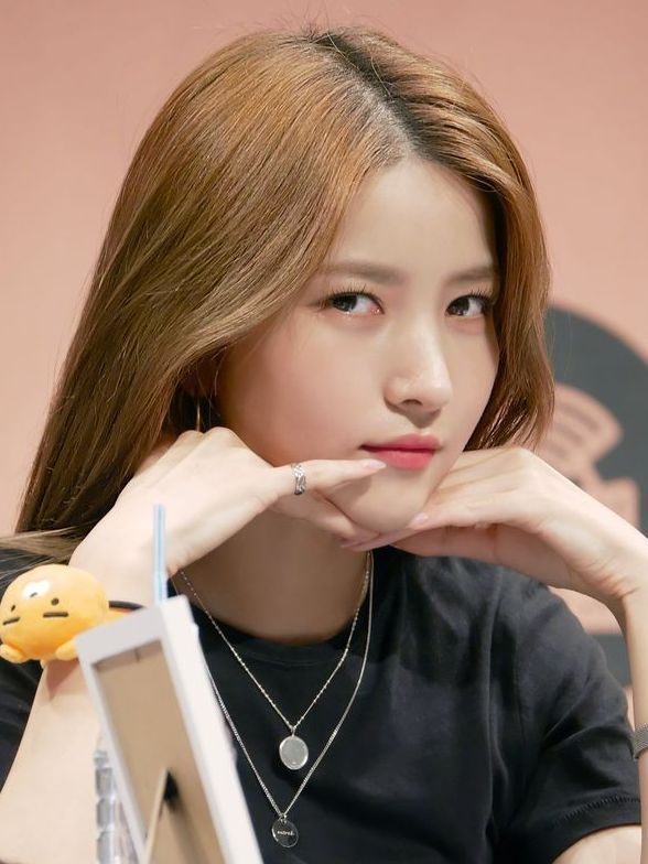 Tak Hanya Fans Sowon Ungkap Betapa Melarat Dan Sedihnya Ia Ketika G