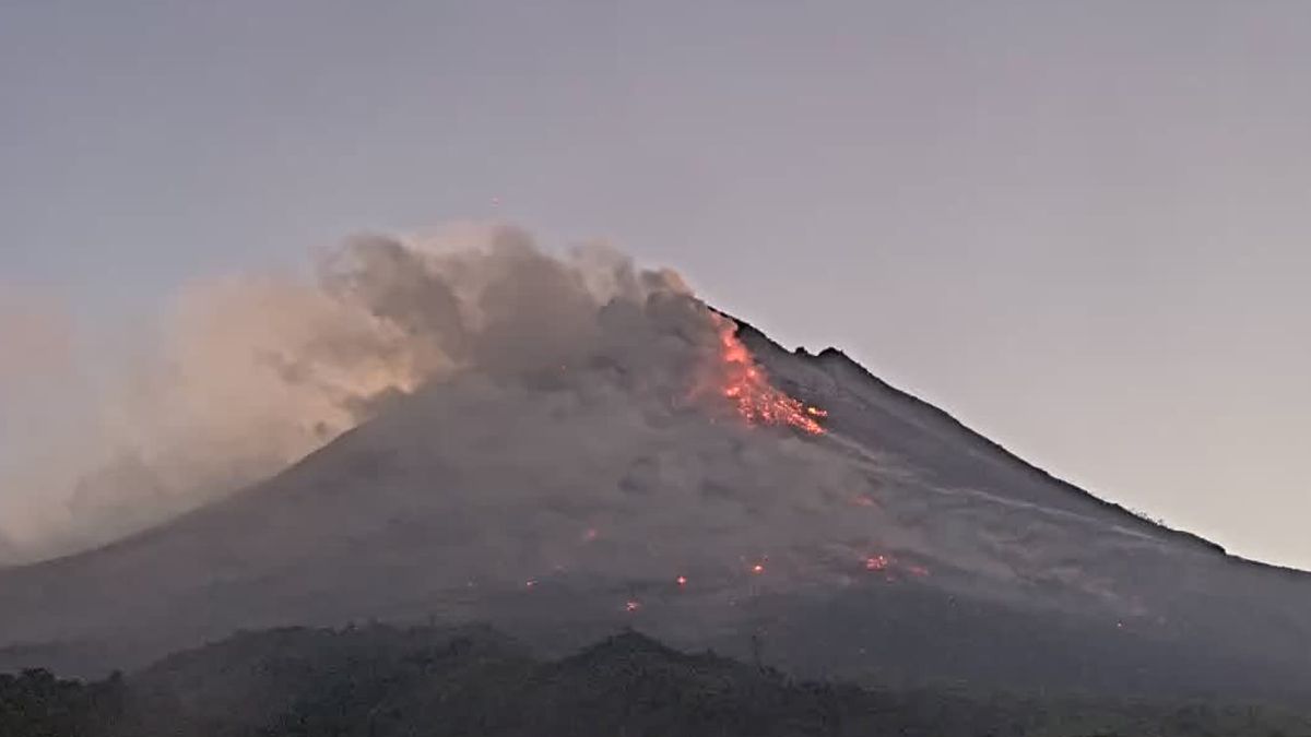 Guguran Lava Gunung Merapi Meluncur Hingga 1 7 Kilometer Waspadai