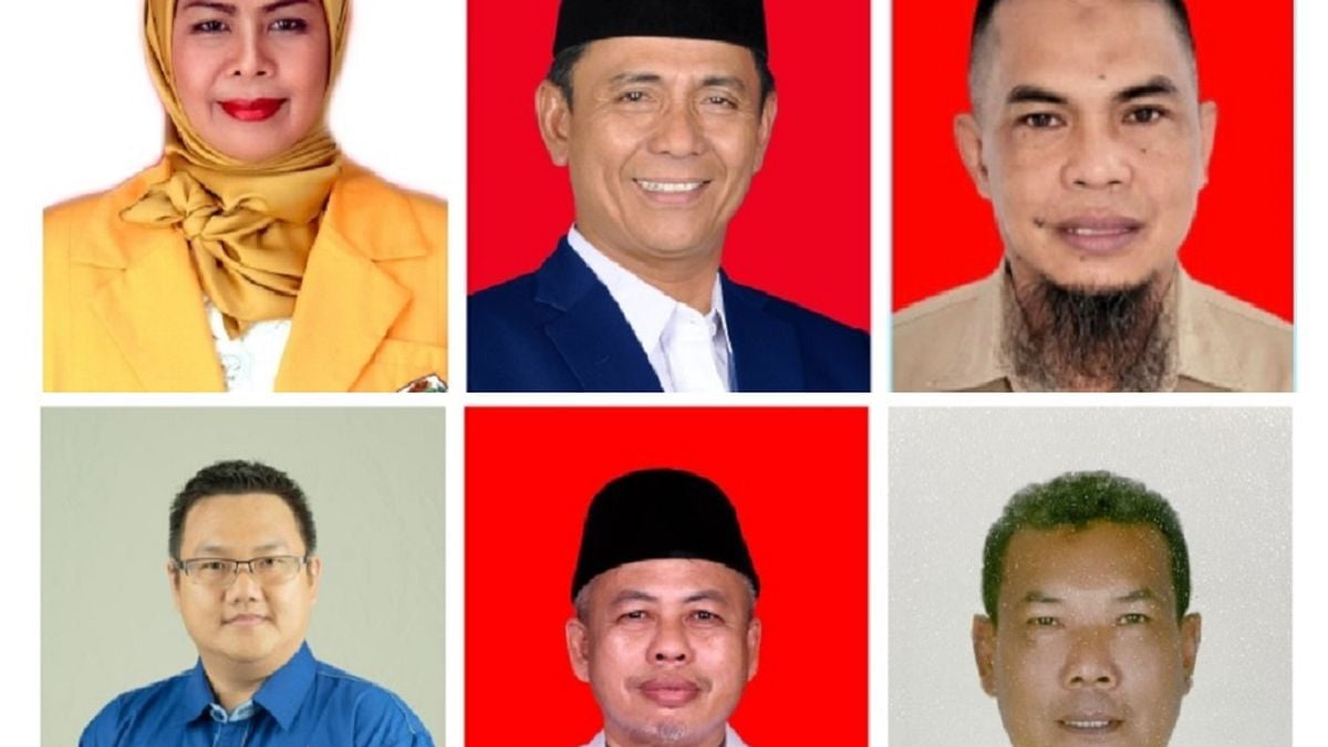 Daftar 6 Anggota DPRD Kepri Terpilih Dari Dapil 2 Bintan Lingga