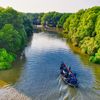 Jawaban Soal Pulau Manakah yang Mempunyai Hutan Mangrove Terluas