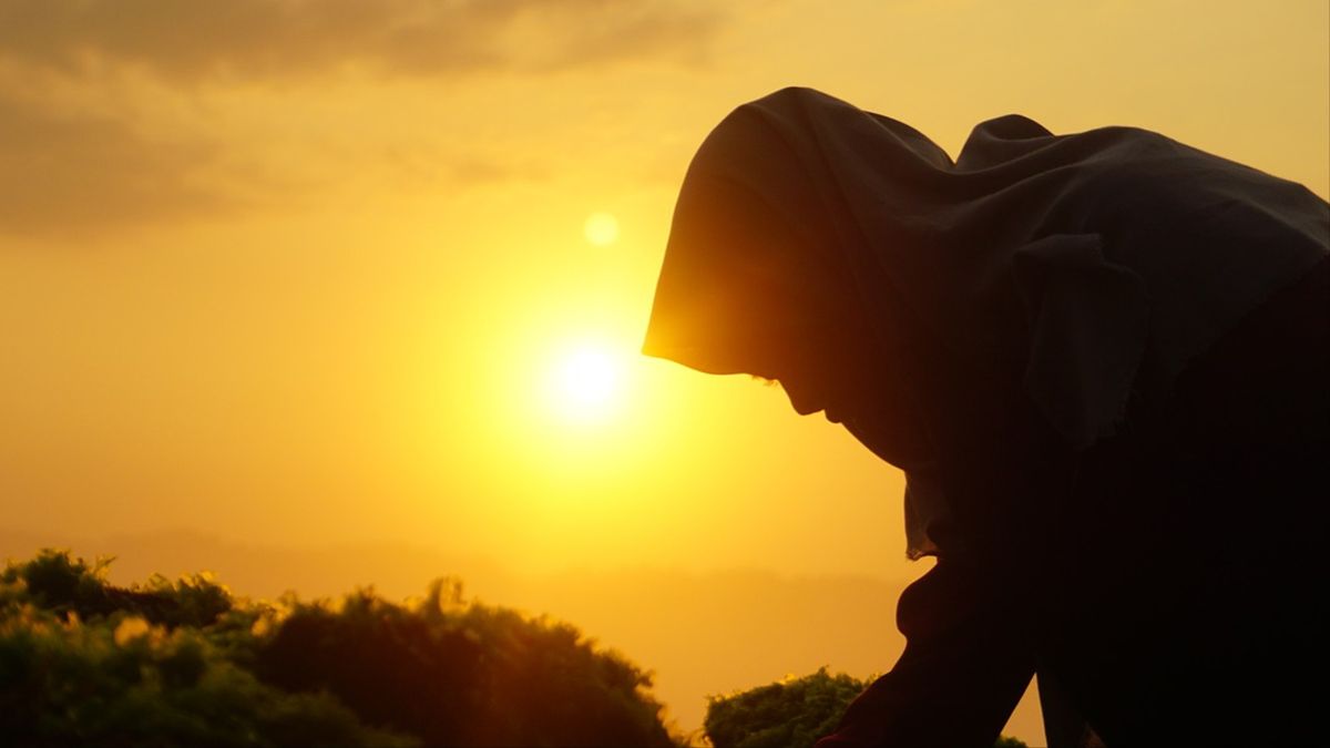 Apa Arti SUN? Lebih Dari Sekadar Cahaya Matahari! Apa Arti SUN? Lebih Dari Sekadar Cahaya Matahari!
