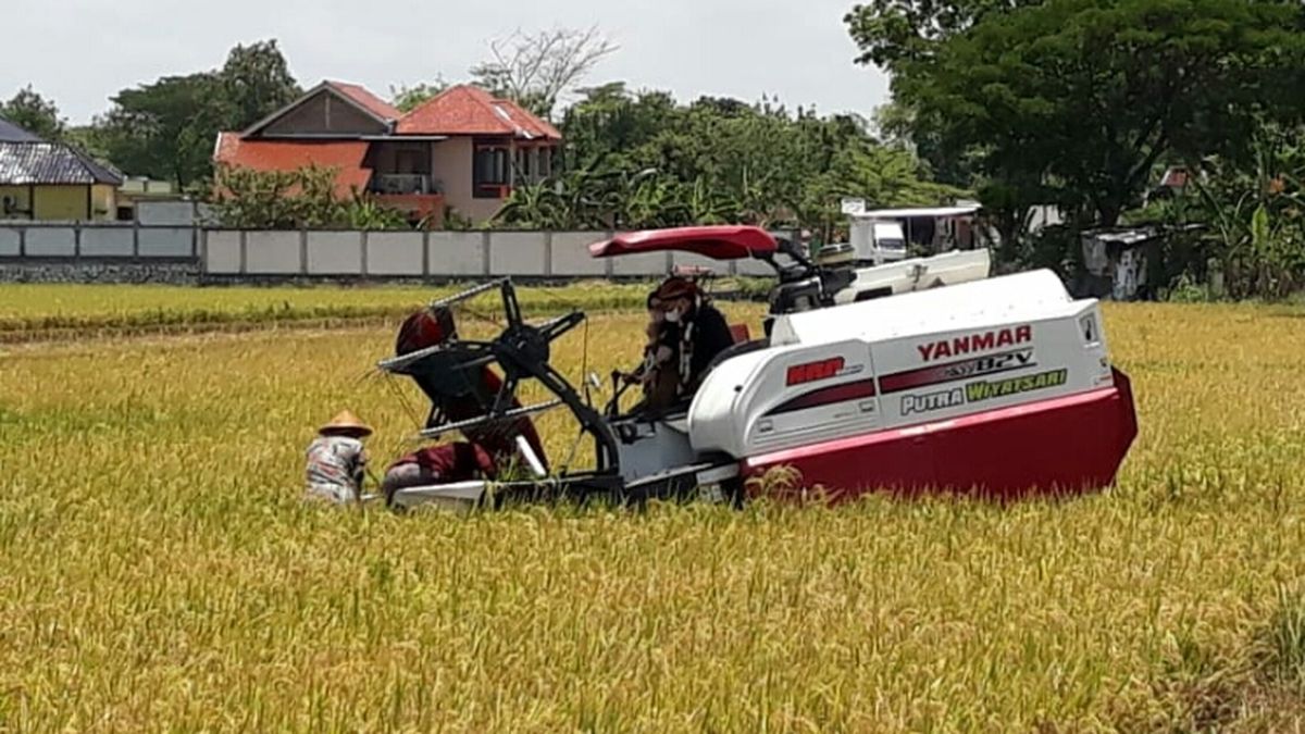 Harga Mesin Combine Harvester Pemanen Padi Tipe Besar Ini Cukup Layak ...