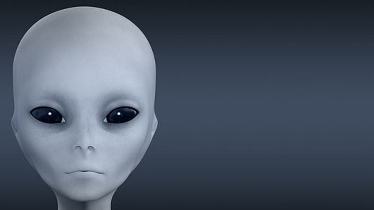 Seperti Apa Rupa Alien? Makhluk Kecil Hijau atau Predator Raksasa