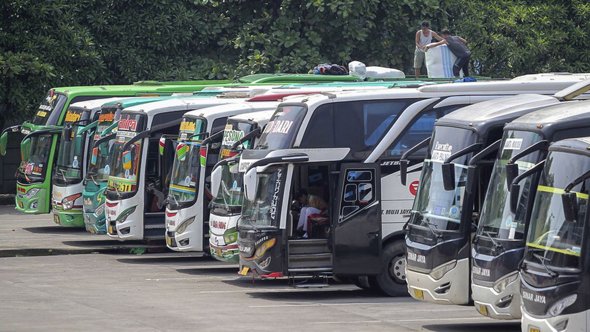 Cara Cek Kelaikan Bus di Aplikasi MitraDarat agar Perjalanan Aman, Lengkap dengan Link Download