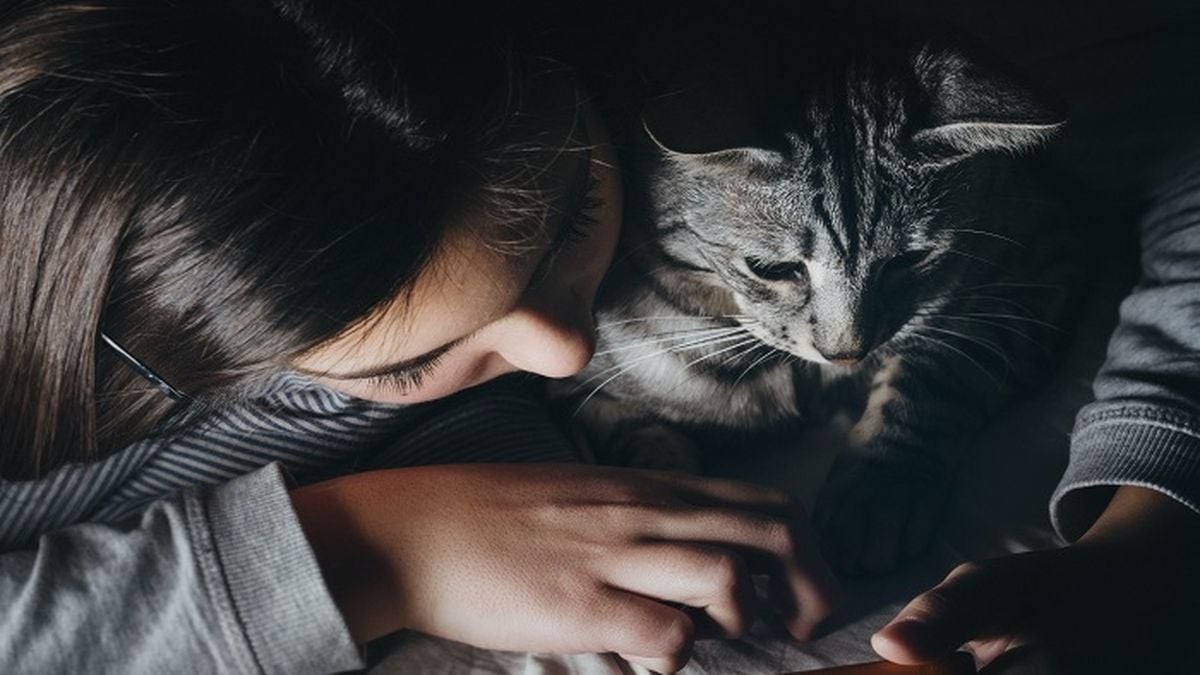 Rekomendasi Makanan Kucing Supaya Tidak Bosan Dijamin Pasti Suka