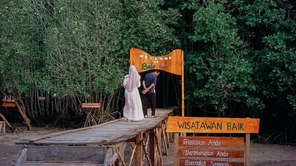 Ekowisata Bale Mangrove: Wisata Edukasi Di Lombok Timur - Berita Mandalika