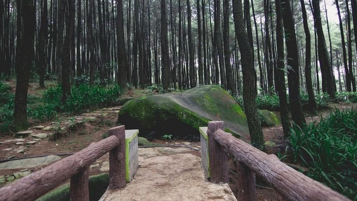 Cocok untuk Liburan Sekolah, Inilah 5 Rekomendasi Wisata di Bogor