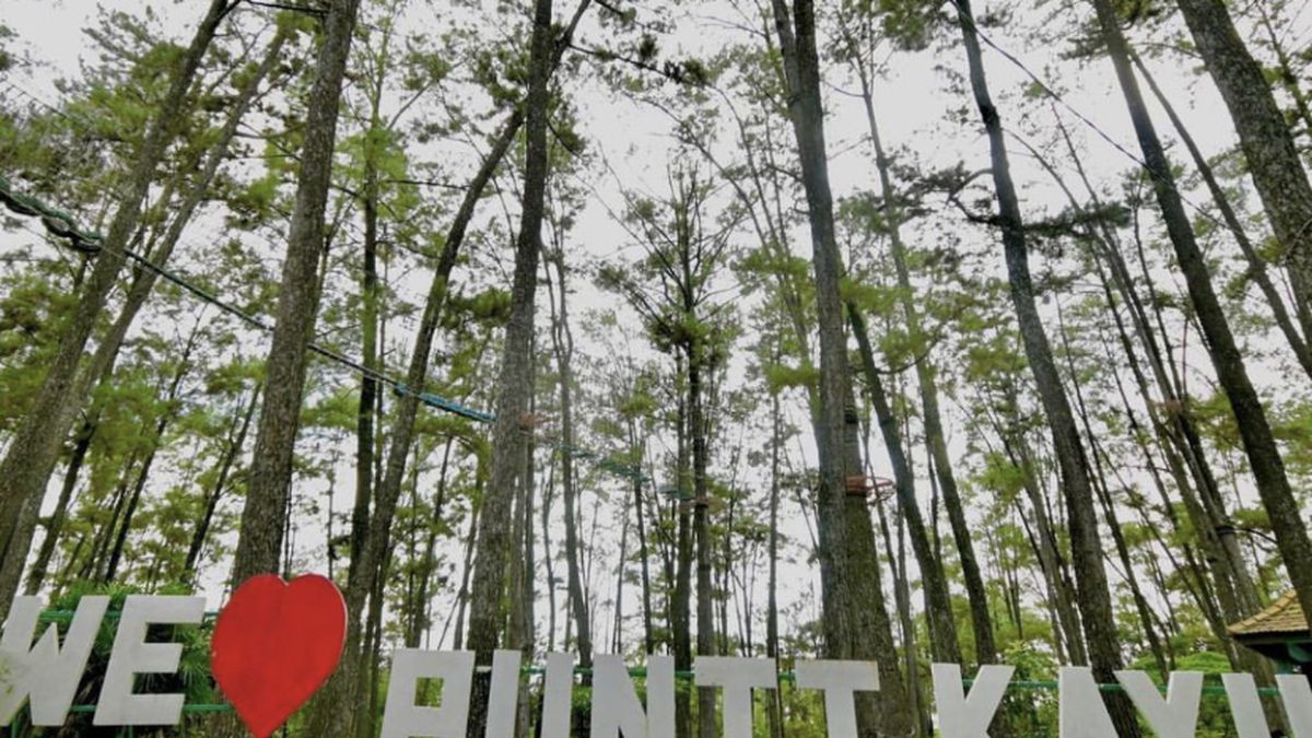 Menjelajahi Keindahan Tersembunyi Di Jantung Kota: Pesona Wisata Punti Kayu Palembang