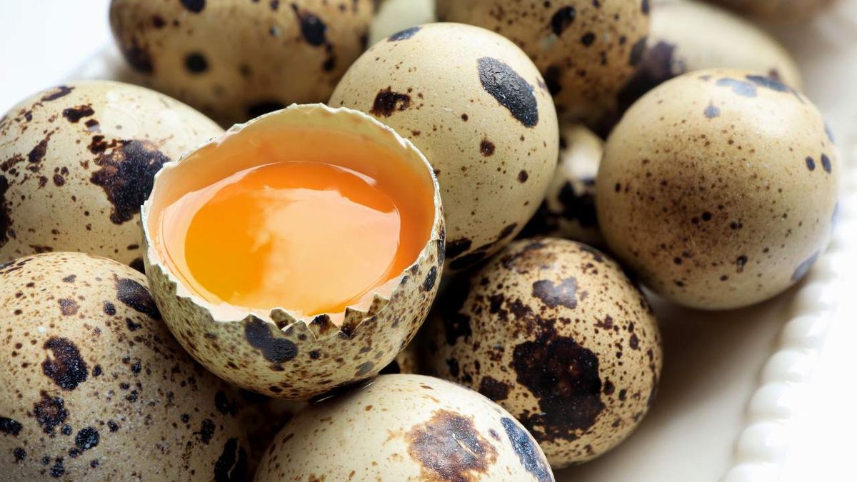 Telur Puyuh Bukan Hanya Baik untuk Otak, Ini Dia Manfaatnya untuk Kesehatan Lainnya