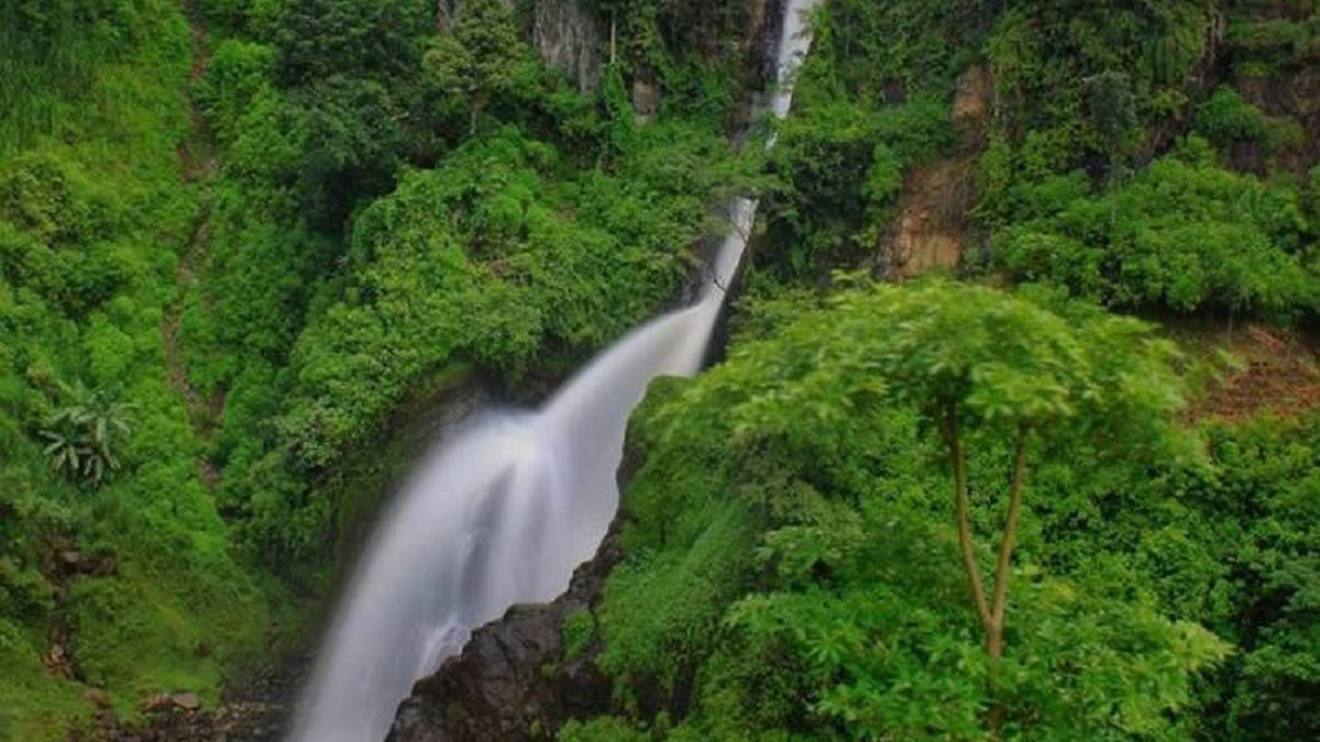 INDAH Nikmati Panorama Alam Menawan Di Air Terjun Pletuk Rekomendasi