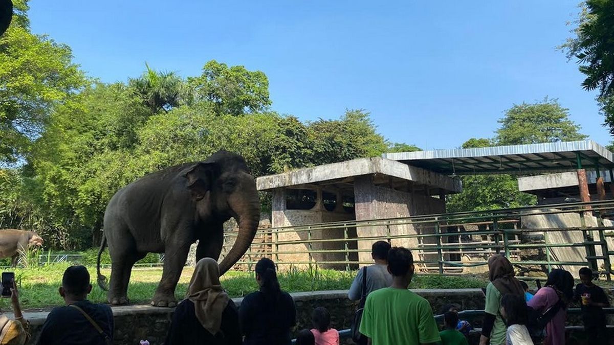 Libur Telah Tiba Ini Dia Deretan Rekomendasi Tempat Wisata Di Jakarta Yang Pas Buat Healing