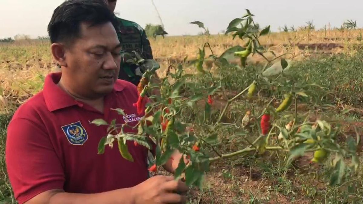 Masuk Ramadhan 2024, BNPB Minta Masyarakat Waspada Anomali Bencana Alam