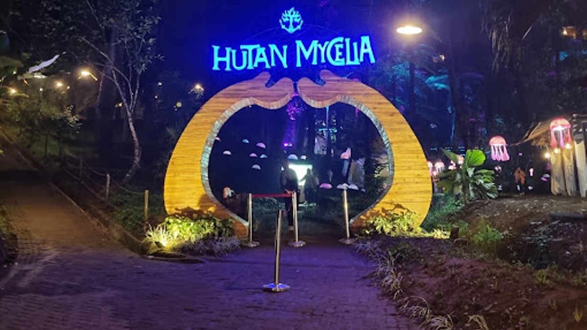 Wisata Malam Yang Spektakuler Dan Imajinatif, Hanya Ada Di Hutan ...